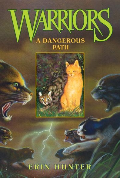 A dangerous path Bk.5  Warriors Erin Hunter.