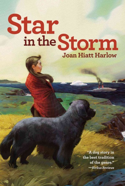 Star in the storm / Joan Hiatt Harlow.