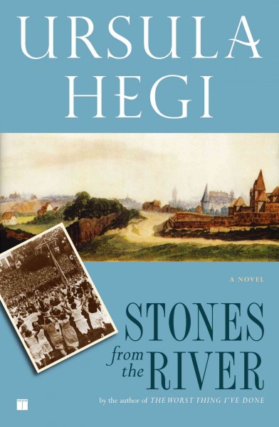 Stones from the river : a novel / Ursula Hegi.