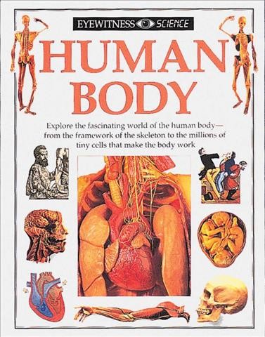 Human body / written by Steve Parker.