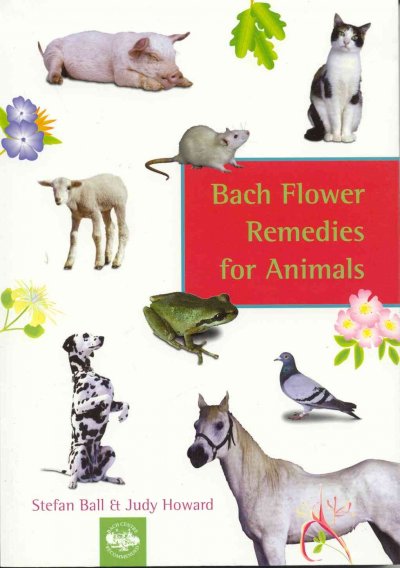 Bach flower remedies for animals.